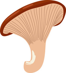 Mushroom Illustration