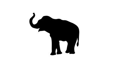 elephant silhouette isolated on white