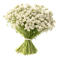 beautiful bouquet of delicate white flowers, perfect for any occasion