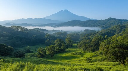 Fototapeta premium Lush Green Landscape with Misty Mountains and Vibrant Trees Under a Clear Blue Sky Creating a Serene Scenic View from an Outdoor Setting on a Sunny Day