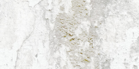 Abstract dust grunge particle and dust grain texture concrete wall grunge on white background Vector.