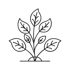 plant icon, plant line art - simple line art of plant, perfect for plant logos and icons