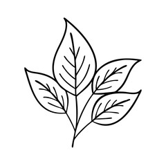 plantleaf icon, plantleaf line art - simple line art of plantleaf, perfect for plantleaf logos and icons