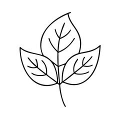 plantleaf icon, plantleaf line art - simple line art of plantleaf, perfect for plantleaf logos and icons