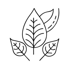 plantleaf icon, plantleaf line art - simple line art of plantleaf, perfect for plantleaf logos and icons
