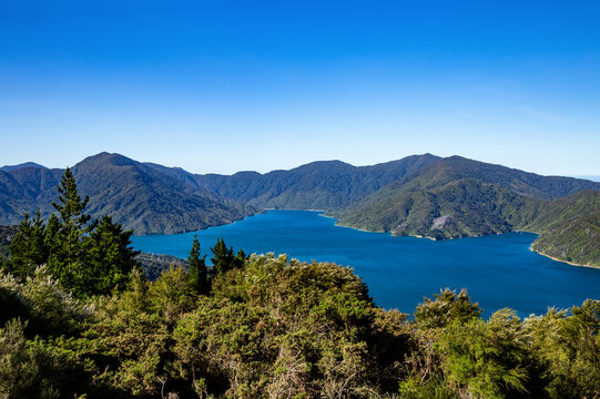 Endeavour Inlet, Tawa Bay, Marlborough Sounds, South Island, New Zealand, Oceania.