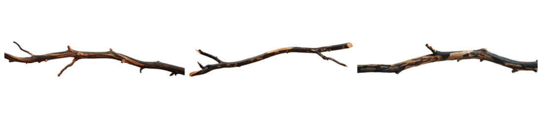 Obraz premium three dry branches isolated on white background