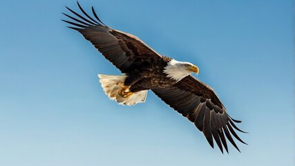 Majestic Bald Eagle Soaring with Wings Spread Seen from Below Against Bright Blue Sky Background 