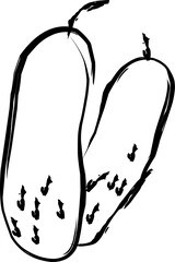 cucumber icon in doodle style