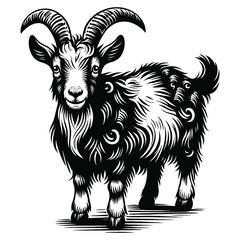 goat on white background