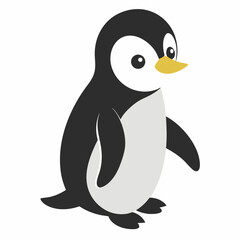 penguin on a white