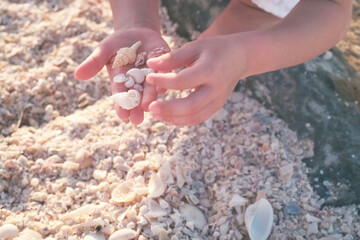 Young child explores a sandy beach, collecting various seashells in hands. The focus is on the hands holding the shells, highlighting a moment of curiosity and discovery
