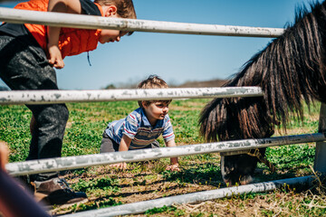 Two boys watching a pony eat grass through a fence