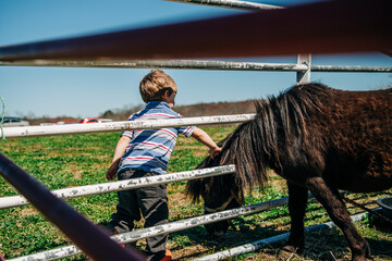 Young boy petting a black pony through a metal fence