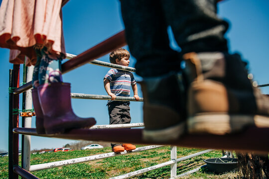 Toddler stands on metal gate beside others on a sunny farm day