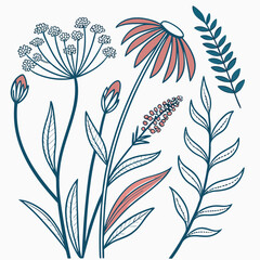 Hand Drawn Plants Stock Illustration — Botanical Sketch Art Design