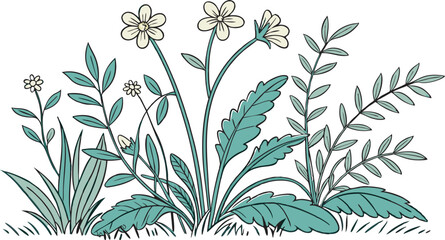 Hand Drawn Plants Stock Illustration — Botanical Sketch Art Design