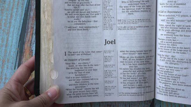 The book of Joel in the Old Testament of the Holy Bible.