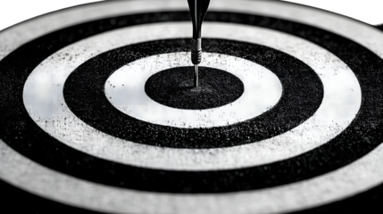 Black and white target with transparent background representing aiming for success