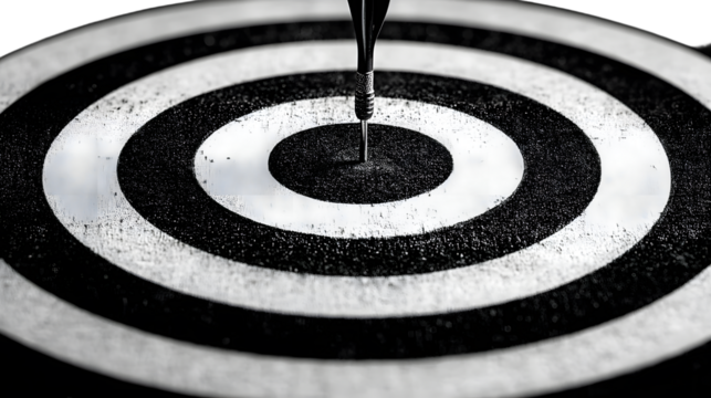 Black and white target with transparent background representing aiming for success