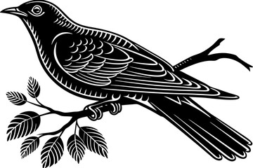 High-quality birds vector illustration featuring a variety of bird species in different styles—perfect for nature-themed designs, educational materials, wildlife branding, greeting cards, posters, and