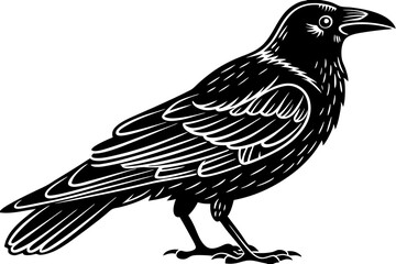 High-quality birds vector illustration featuring a variety of bird species in different styles—perfect for nature-themed designs, educational materials, wildlife branding, greeting cards, posters, and