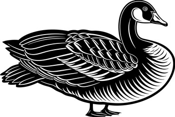 High-quality birds vector illustration featuring a variety of bird species in different styles—perfect for nature-themed designs, educational materials, wildlife branding, greeting cards, posters, and