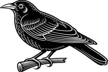 High-quality birds vector illustration featuring a variety of bird species in different styles—perfect for nature-themed designs, educational materials, wildlife branding, greeting cards, posters, and