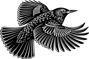 High-quality birds vector illustration featuring a variety of bird species in different styles—perfect for nature-themed designs, educational materials, wildlife branding, greeting cards, posters, and