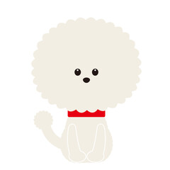 お座りをする白くてふわふわな犬