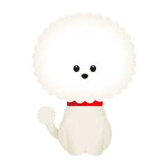 お座りをする白くてふわふわな犬