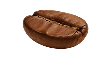 Isolated Roasted Coffee Bean