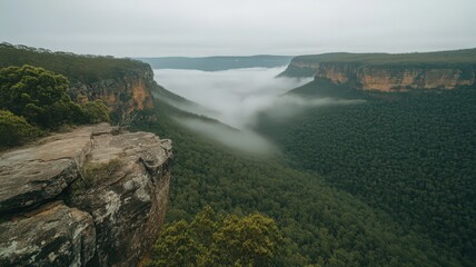 Misty Valley Landscape with Green Forest and Rocky Outcrop