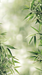 Serene Bamboo Leaves: Nature's Calm