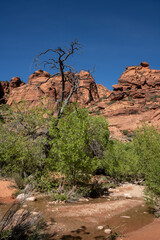 View of red rocks in Red Cliff National Conservation Area, Utah, USA.	