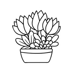 succulents icon, succulents line art - simple line art of succulents, perfect for succulents logos and icons