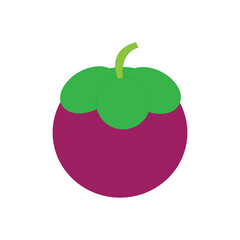 Flat vector ripe Mangosteen on white background