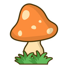 Mushroom Illustration