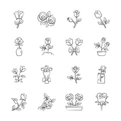 Get this beautifully designed hand drawn collection of roses