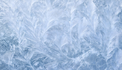 Obraz premium 氷の背景