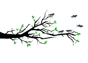 Birds with spring tree