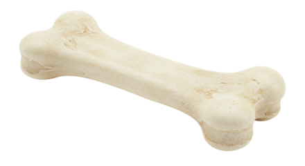 Isolated Dog Bone