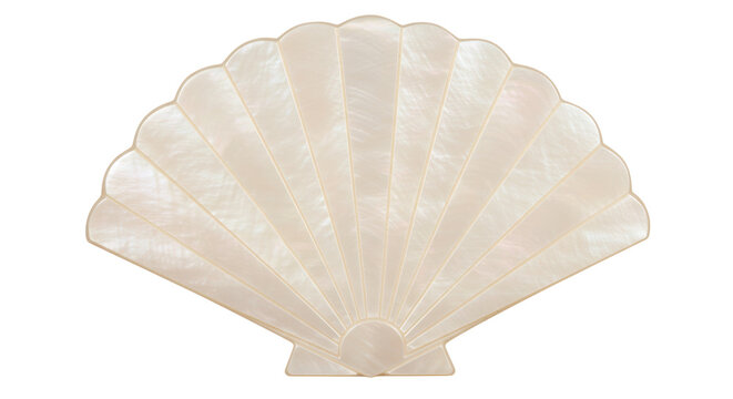 Isolated Seashell