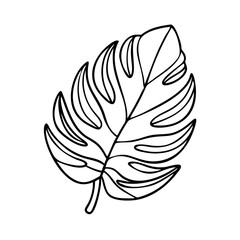 Obraz premium tropicalleaves icon, tropicalleaves line art - simple line art of tropicalleaves, perfect for tropicalleaves logos and icons