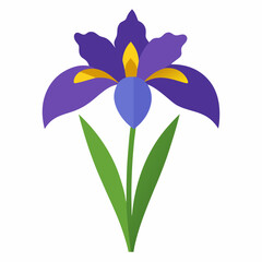 Iris flower vector isolated on white background
