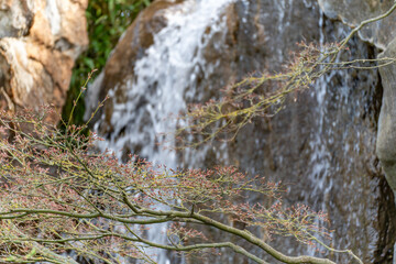 A waterfall with a tree branch in the foreground. The branch is covered in leaves. The water is flowing down the side of the waterfall