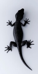 Naklejka premium Black lizard lies on a white surface, a possible illustration