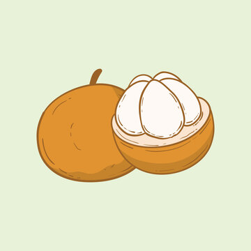 Kecapi Fruit Flat Design Cartoon Illustration
