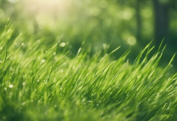 Obraz premium fresh green spring sunny day grass background bright lush pasture vitality blue summer outdoors cloud lawn sky beauty meadow rural sunlight environment nature growth freshness abstract agriculture