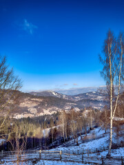 Ukrainian Carpathian Mountains winter snow landscape